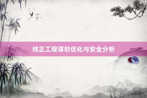 纯正工程谋划优化与安全分析