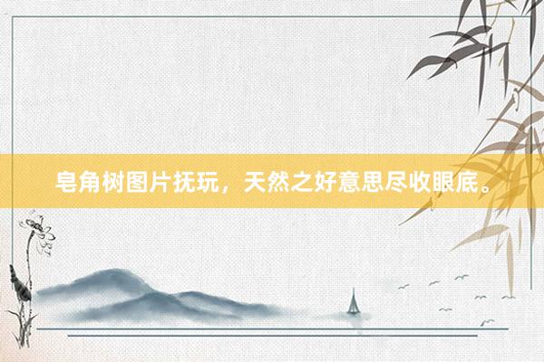 皂角树图片抚玩,天然之好意思尽收眼底。