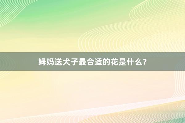 姆妈送犬子最合适的花是什么？