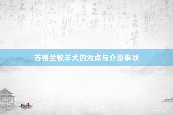 苏格兰牧羊犬的污点与介意事项