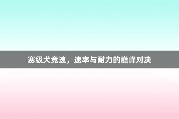 赛级犬竞速，速率与耐力的巅峰对决