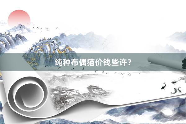 纯种布偶猫价钱些许？