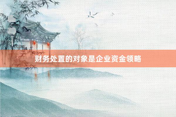 财务处置的对象是企业资金领略
